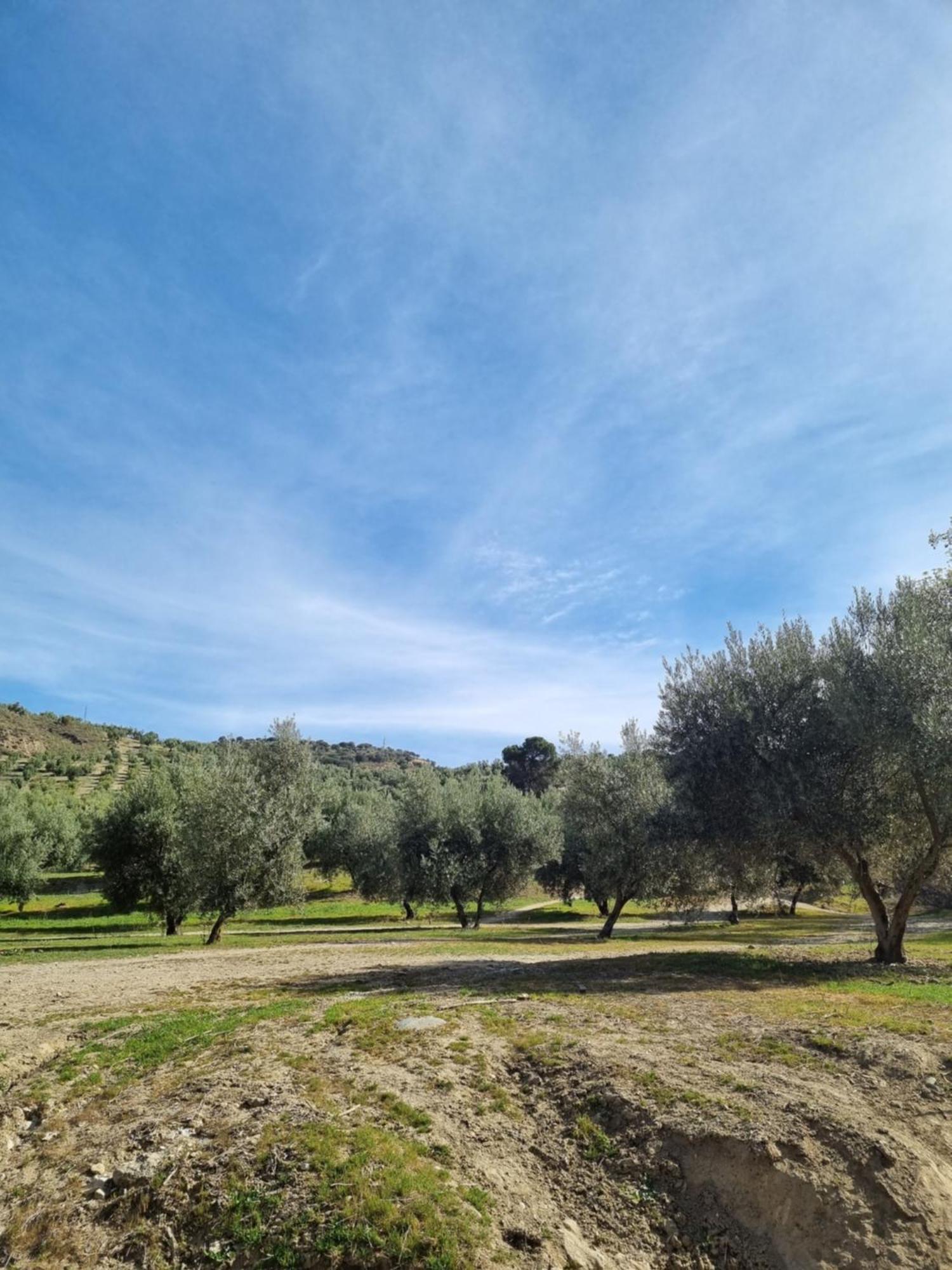 La Colina Ladyblue Apto Acogedor Cerca De Sierra Nevada Y Alhambra Daire Cenes De La Vega Dış mekan fotoğraf