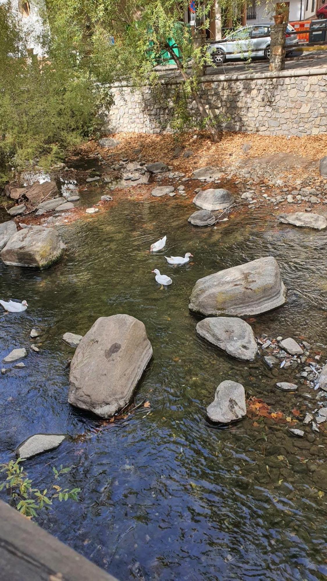 La Colina Ladyblue Apto Acogedor Cerca De Sierra Nevada Y Alhambra Daire Cenes De La Vega Dış mekan fotoğraf